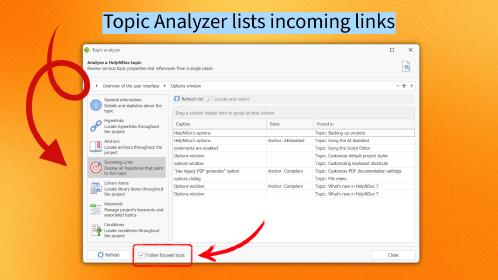 images/topic-analyzer-lists-incoming-links.jpeg